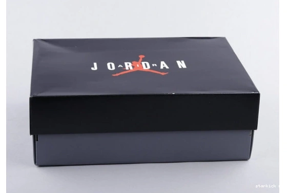(GS)  Tint Retro 378038-016 378038-016 Platinum Jordan 11 1021